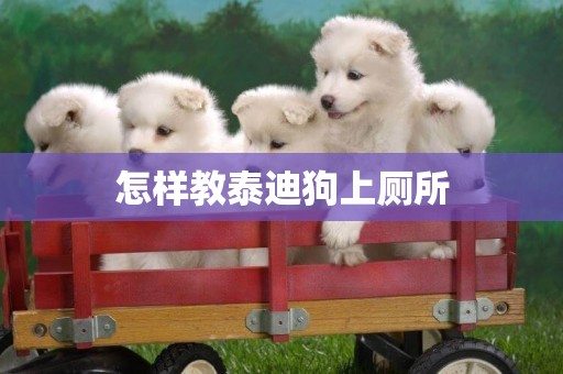 怎樣教泰迪狗上廁所