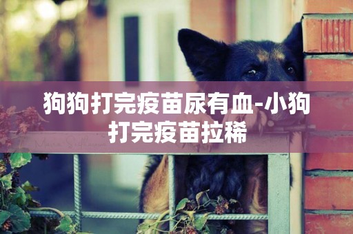 狗狗打完疫苗尿有血-小狗打完疫苗拉稀
