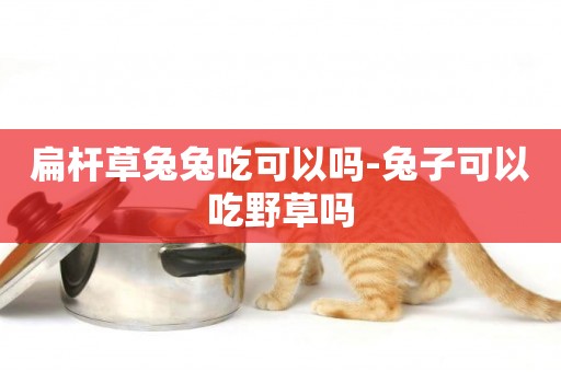 扁桿草兔兔吃可以嗎-兔子可以吃野草嗎