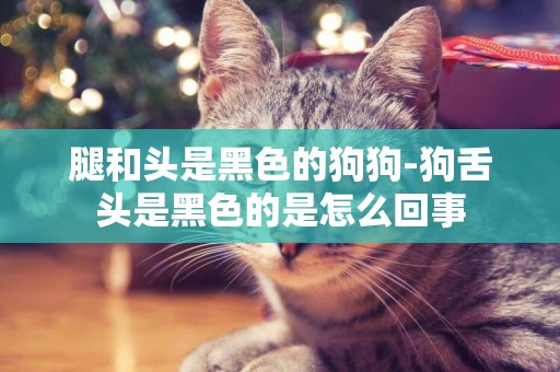 腿和頭是黑色的狗狗-狗舌頭是黑色的是怎么回事