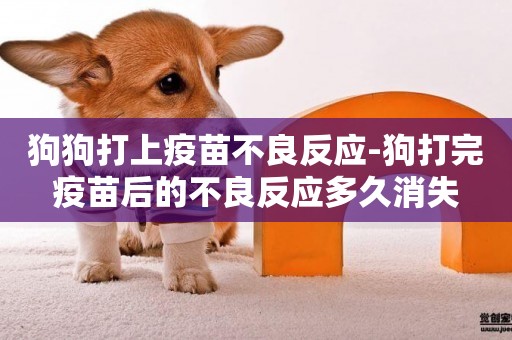 狗狗打上疫苗不良反應-狗打完疫苗后的不良反應多久消失