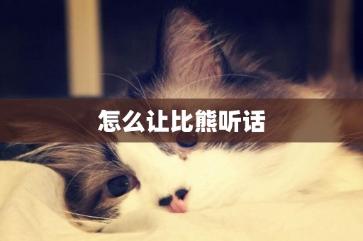 怎么讓比熊聽話