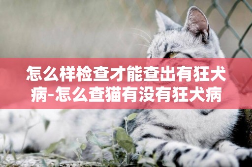 怎么樣檢查才能查出有狂犬病-怎么查貓有沒有狂犬病