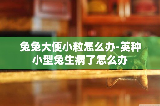兔兔大便小粒怎么辦-英種小型兔生病了怎么辦