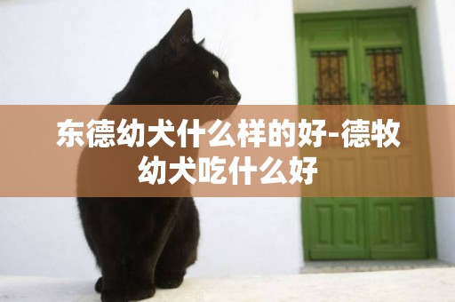 東德幼犬什么樣的好-德牧幼犬吃什么好