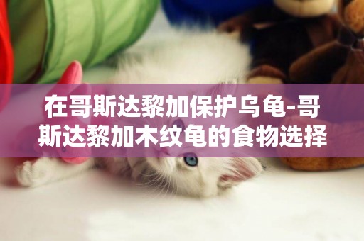 在哥斯達黎加保護烏龜-哥斯達黎加木紋龜的食物選擇
