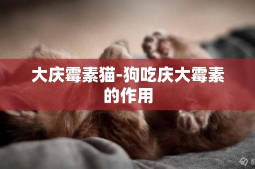 大慶霉素貓-狗吃慶大霉素的作用