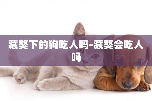 藏獒下的狗吃人嗎-藏獒會吃人嗎