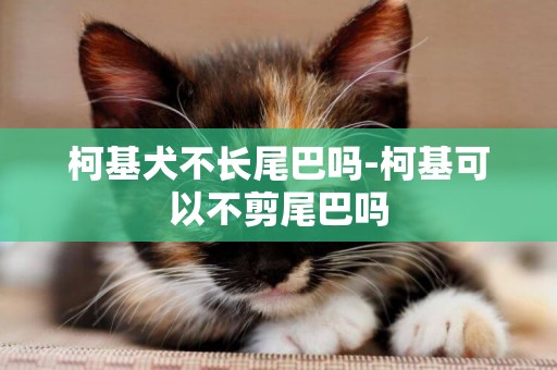 柯基犬不長尾巴嗎-柯基可以不剪尾巴嗎