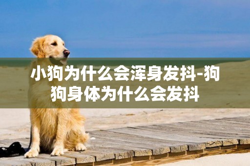小狗為什么會渾身發抖-狗狗身體為什么會發抖