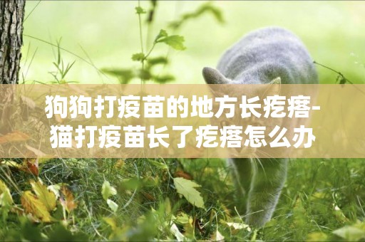 狗狗打疫苗的地方長疙瘩-貓打疫苗長了疙瘩怎么辦
