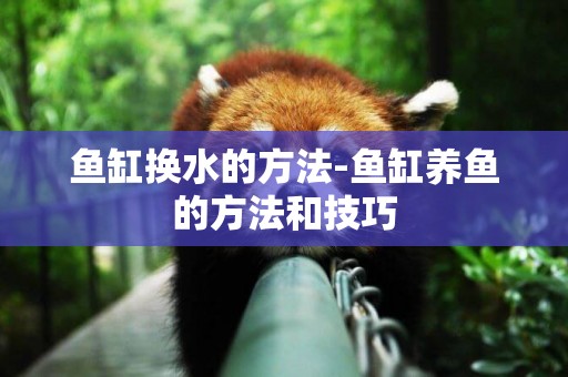 魚缸換水的方法-魚缸養魚的方法和技巧