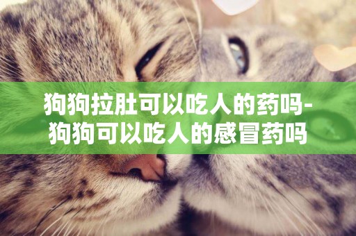 狗狗拉肚可以吃人的藥嗎-狗狗可以吃人的感冒藥嗎