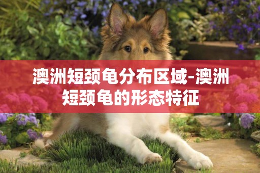 澳洲短頸龜分布區域-澳洲短頸龜的形態特征