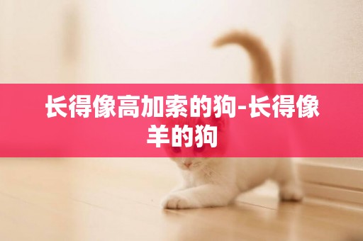 長得像高加索的狗-長得像羊的狗