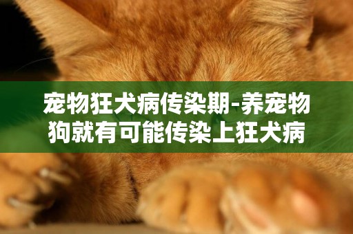 寵物狂犬病傳染期-養寵物狗就有可能傳染上狂犬病
