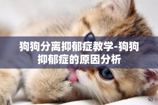 狗狗分離抑郁癥教學-狗狗抑郁癥的原因分析