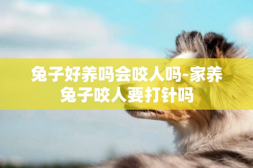 兔子好養嗎會咬人嗎-家養兔子咬人要打針嗎
