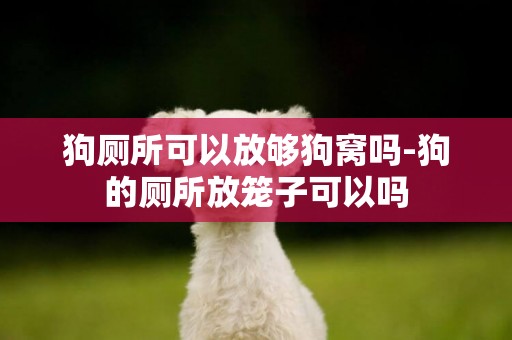 狗廁所可以放夠狗窩嗎-狗的廁所放籠子可以嗎