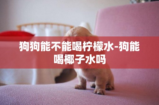狗狗能不能喝檸檬水-狗能喝椰子水嗎
