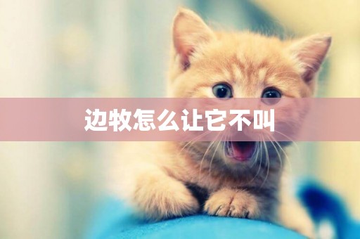 邊牧怎么讓它不叫