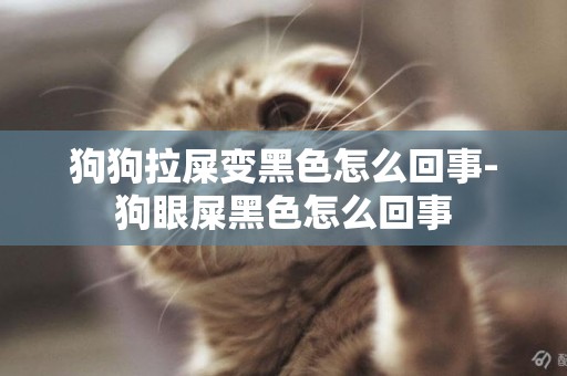 狗狗拉屎變黑色怎么回事-狗眼屎黑色怎么回事