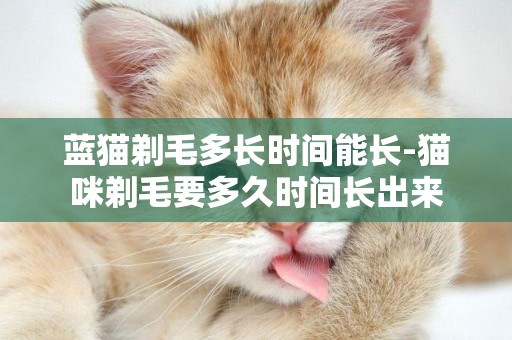 藍貓剃毛多長時間能長-貓咪剃毛要多久時間長出來