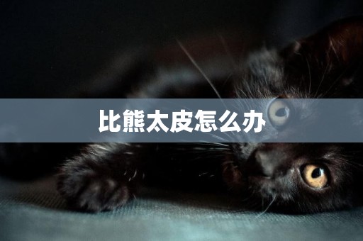 比熊太皮怎么辦