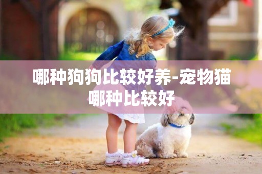 哪種狗狗比較好養-寵物貓哪種比較好