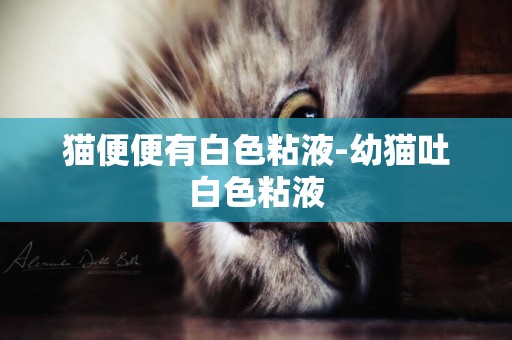 貓便便有白色粘液-幼貓吐白色粘液