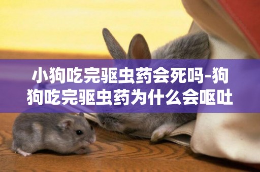 小狗吃完驅蟲藥會死嗎-狗狗吃完驅蟲藥為什么會嘔吐
