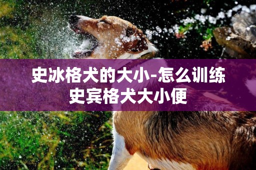 史冰格犬的大小-怎么訓練史賓格犬大小便