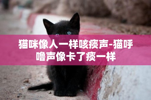 貓咪像人一樣咳痰聲-貓呼嚕聲像卡了痰一樣