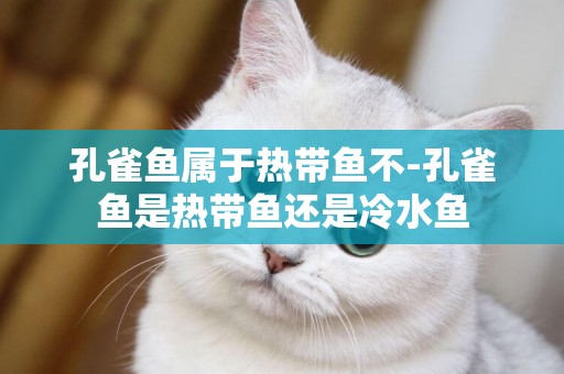 孔雀魚屬于熱帶魚不-孔雀魚是熱帶魚還是冷水魚