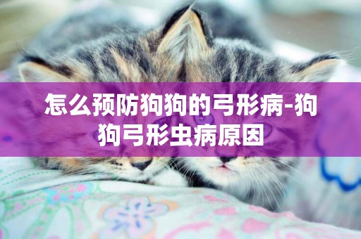 怎么預防狗狗的弓形病-狗狗弓形蟲病原因