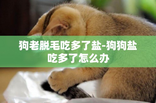 狗老脫毛吃多了鹽-狗狗鹽吃多了怎么辦