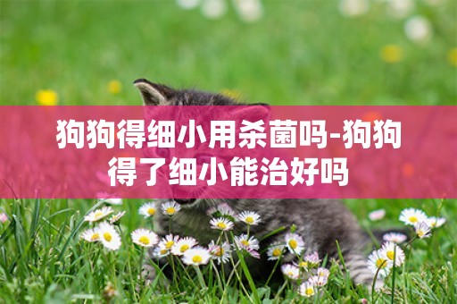狗狗得細小用殺菌嗎-狗狗得了細小能治好嗎