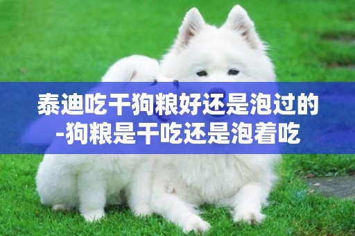 泰迪吃干狗糧好還是泡過的-狗糧是干吃還是泡著吃