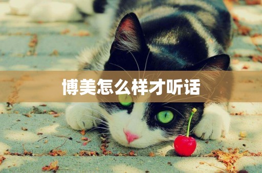 博美怎么樣才聽話