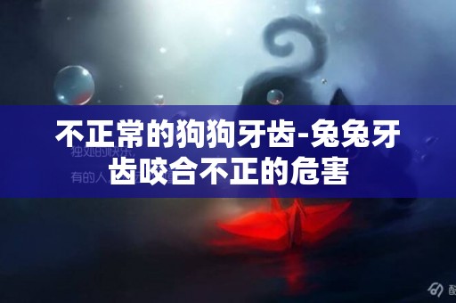 不正常的狗狗牙齒-兔兔牙齒咬合不正的危害