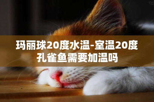 瑪麗球20度水溫-室溫20度孔雀魚需要加溫嗎