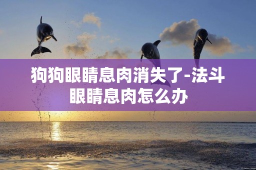 狗狗眼睛息肉消失了-法斗眼睛息肉怎么辦