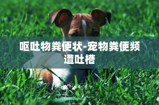 嘔吐物糞便狀-寵物糞便頻遭吐槽
