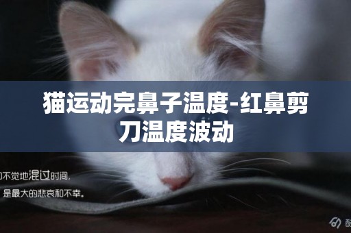 貓運動完鼻子溫度-紅鼻剪刀溫度波動