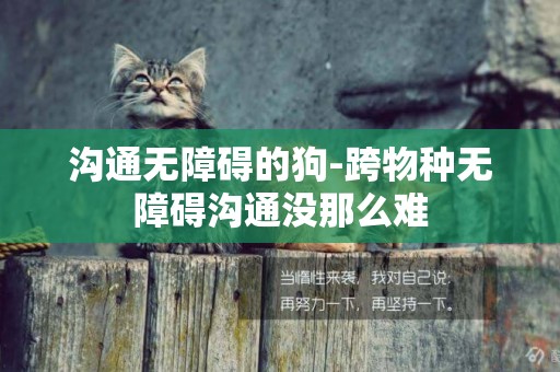 溝通無障礙的狗-跨物種無障礙溝通沒那么難