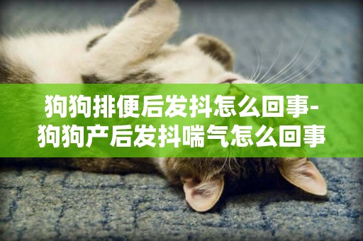 狗狗排便后發抖怎么回事-狗狗產后發抖喘氣怎么回事