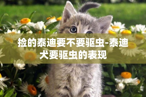 撿的泰迪要不要驅蟲-泰迪犬要驅蟲的表現