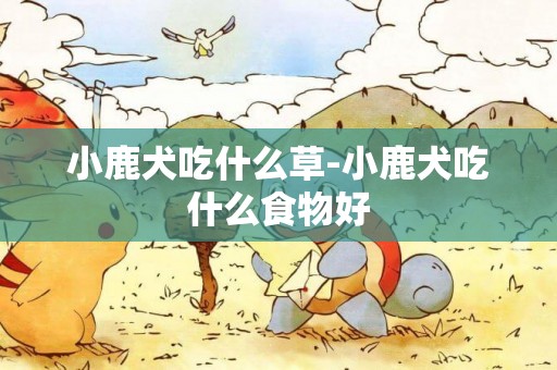 小鹿犬吃什么草-小鹿犬吃什么食物好
