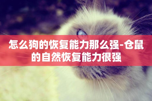 怎么狗的恢復能力那么強-倉鼠的自然恢復能力很強