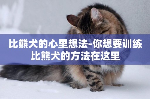 比熊犬的心里想法-你想要訓練比熊犬的方法在這里